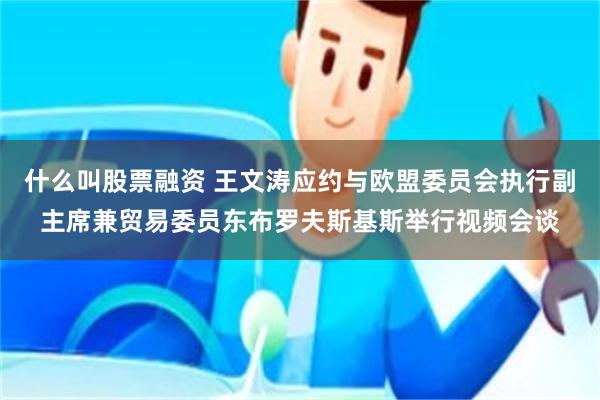 什么叫股票融资 王文涛应约与欧盟委员会执行副主席兼贸易委员东布罗夫斯基斯举行视频会谈