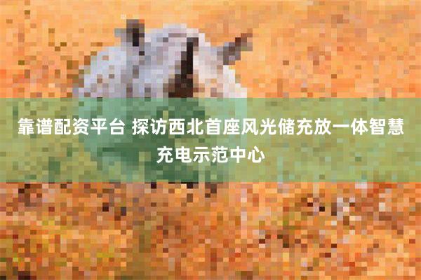 靠谱配资平台 探访西北首座风光储充放一体智慧充电示范中心