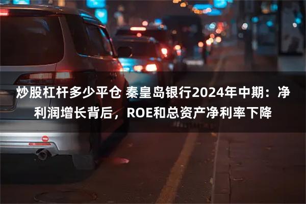 炒股杠杆多少平仓 秦皇岛银行2024年中期：净利润增长背后，ROE和总资产净利率下降