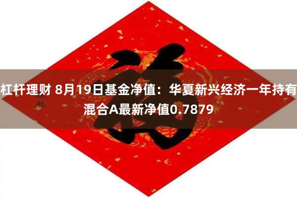 杠杆理财 8月19日基金净值：华夏新兴经济一年持有混合A最新净值0.7879