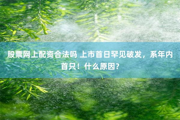 股票网上配资合法吗 上市首日罕见破发，系年内首只！什么原因？