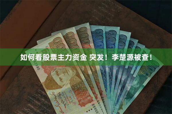 如何看股票主力资金 突发！李楚源被查！