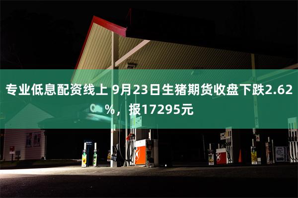 专业低息配资线上 9月23日生猪期货收盘下跌2.62%，报17295元