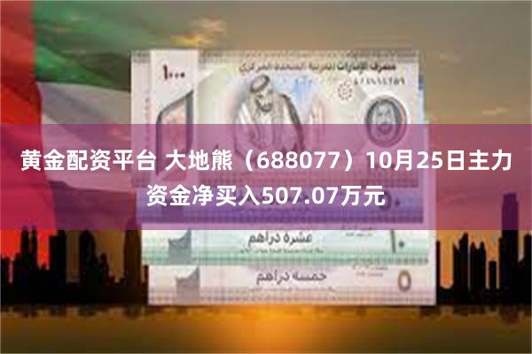 黄金配资平台 大地熊（688077）10月25日主力资金净买入507.07万元