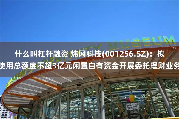 什么叫杠杆融资 炜冈科技(001256.SZ)：拟使用总额度不超3亿元闲置自有资金开展委托理财业务