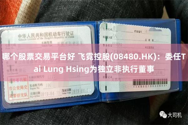 哪个股票交易平台好 飞霓控股(08480.HK)：委任Tai Lung Hsing为独立非执行董事