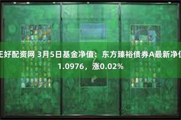 正好配资网 3月5日基金净值：东方臻裕债券A最新净值1.0976，涨0.02%