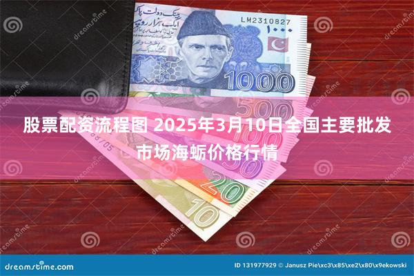 股票配资流程图 2025年3月10日全国主要批发市场海蛎价格行情