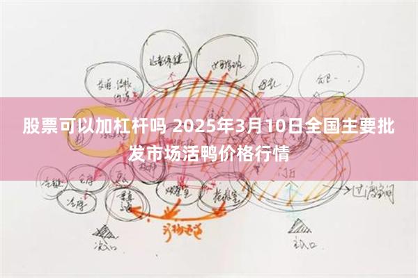 股票可以加杠杆吗 2025年3月10日全国主要批发市场活鸭价格行情