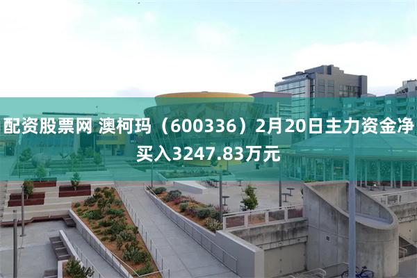 配资股票网 澳柯玛（600336）2月20日主力资金净买入3247.83万元
