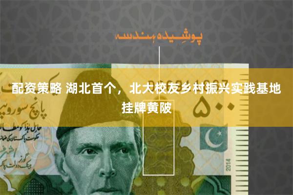 配资策略 湖北首个，北大校友乡村振兴实践基地挂牌黄陂